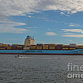 Ocean Going Freighter