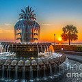 Charleston Pineapple Sunrise