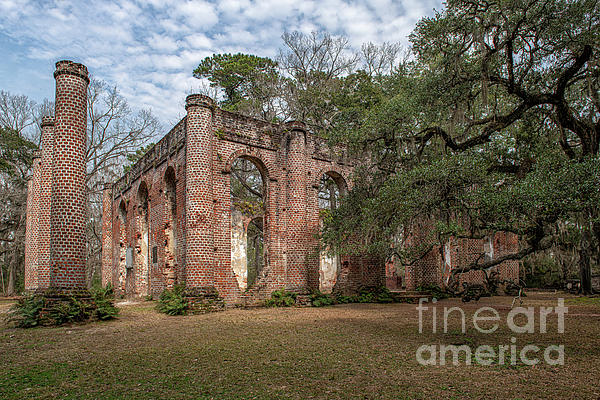 Old Sheldon Church Ruins - Historic Site in Beaufort South Carolina by Dale Powell Old Sheldon Church Ruins - Historic Site in Beaufort South Carolina by Dale Powell